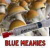 Blue Meanie Spores