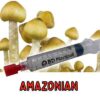 Amazonian mushroom spores