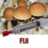 Fiji Mushroom Spores