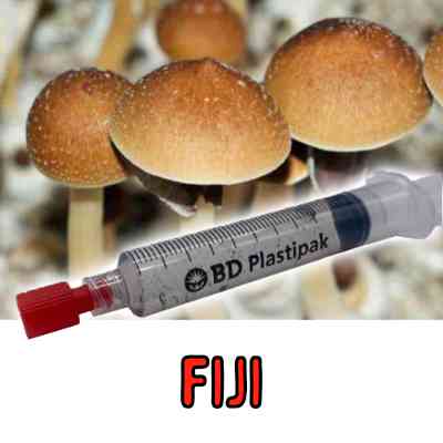 Fiji Mushroom Spores