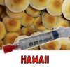 Hawaii mushroom spores