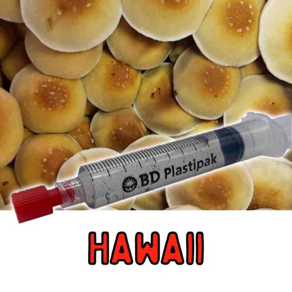 Hawaii mushroom spores