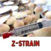 Z-strain spores
