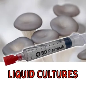 Gourmet & Medicinal Liquid Cultures